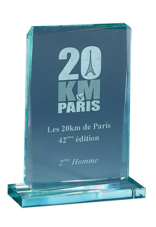 Elégant Trophée de Verre Personnalisable